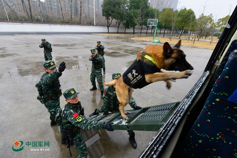 北京不銹鋼管批發(fā)市場,計謀解答解釋落實